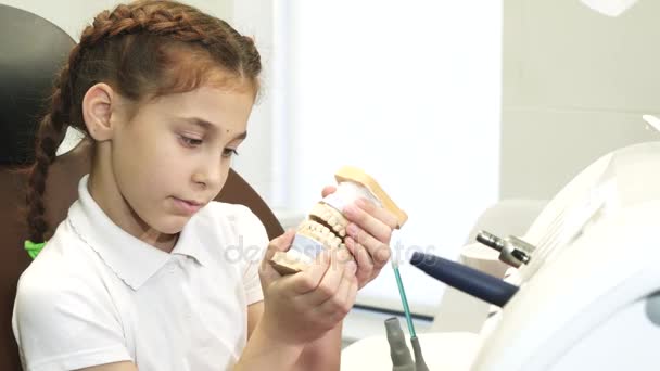 En nyfiken flicka spelas med en konstgjord käke i tandläkare office — Stockvideo