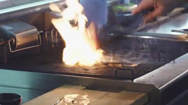 Feche o tiro de uma carne de porco na grelha em chamas de fogo — Vídeo de Stock