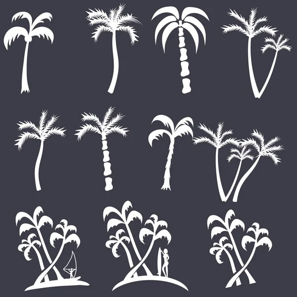 Palm trees set — Stock Vector