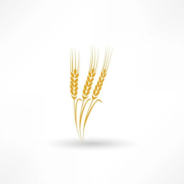 Wheat ears icon — Stock Vector