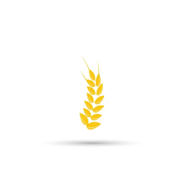 Design of wheat icon — Stock Vector