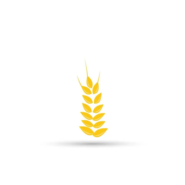 Design of wheat icon — Stock Vector