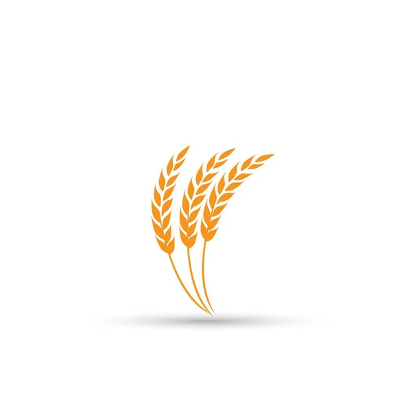 Дизайн иконки пшеницы — стоковый вектор