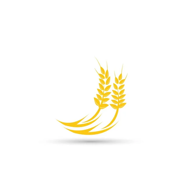 Дизайн иконки пшеницы — стоковый вектор