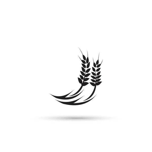 Design of wheat icon — Stock Vector