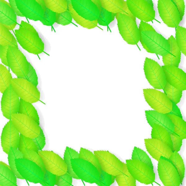 Белый Фон Зелеными Листьями Векторная Иллюстрация — стоковый вектор