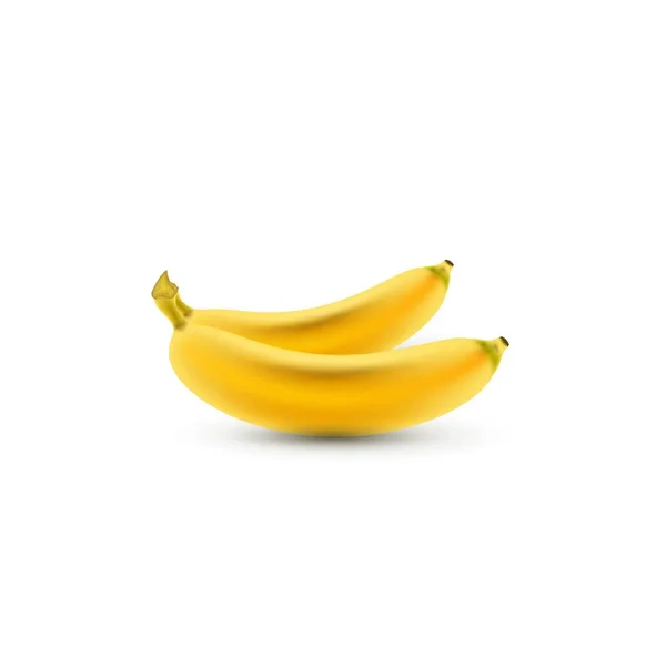 Bananas Isoladas Realistas Ilustração Vetorial — Vetor de Stock