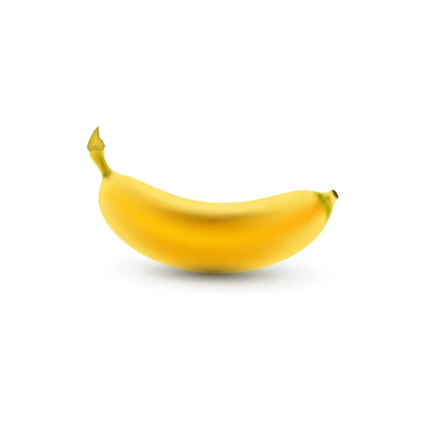 Banane Isoliert Auf Weißem Hintergrund Realistische Früchte Vektorillustration — Stockvektor