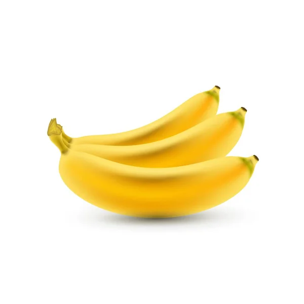 Bananas Isoladas Realistas Ilustração Vetorial — Vetor de Stock