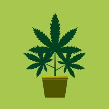 esrar esrar simgesi üzerinde yeşil arka plan izole bırakır