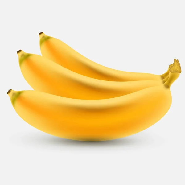 Banana Ilustración Del Vector Fruta — Archivo Imágenes Vectoriales