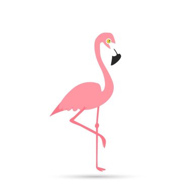 Beyaz arkaplanda pembe flamingo.