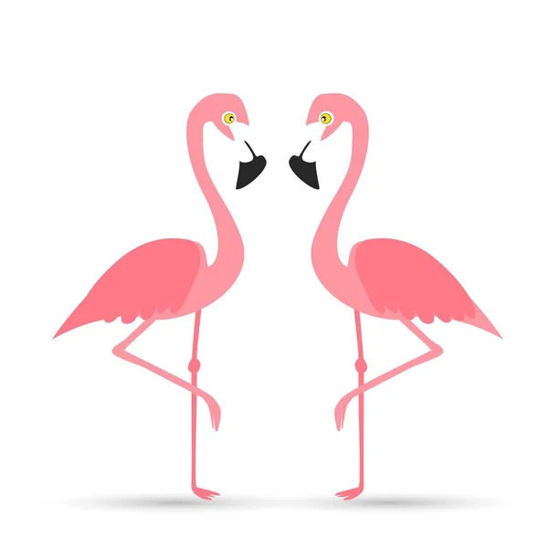在白色背景上的粉红色的火烈鸟 — 图库矢量图片