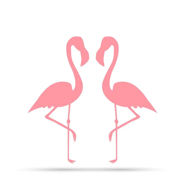Pink Flamingos White Background — Stock Vector