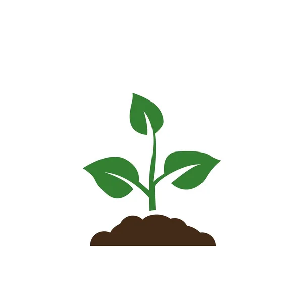 Sadzonka Wektor Rosnące Drzewa Zielony Rolnictwa — Wektor stockowy