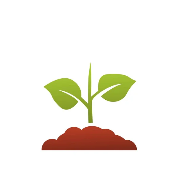 Sazenice Ikona Vektor Rostoucí Strom Zelená Zemědělství — Stockový vektor