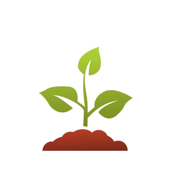 Seedling Icon Vector Growing Tree Green Agriculture — Stock Vector