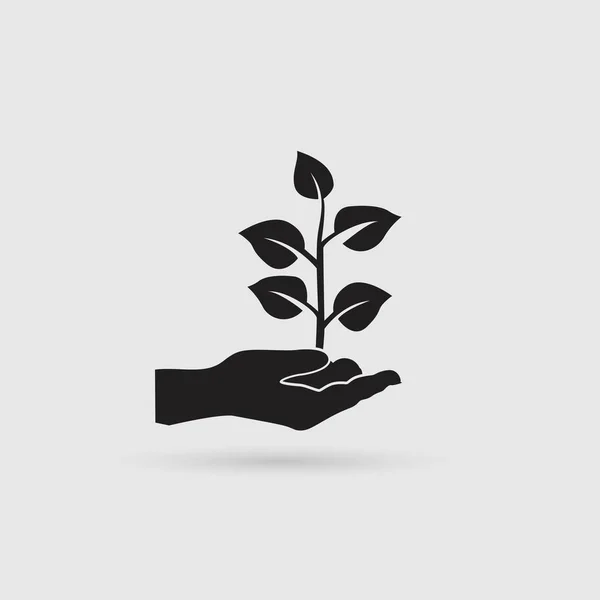 Planta Mão Ícone Vetorial — Vetor de Stock
