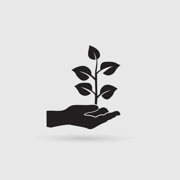 Planta Mano Icono Del Vector — Vector de stock