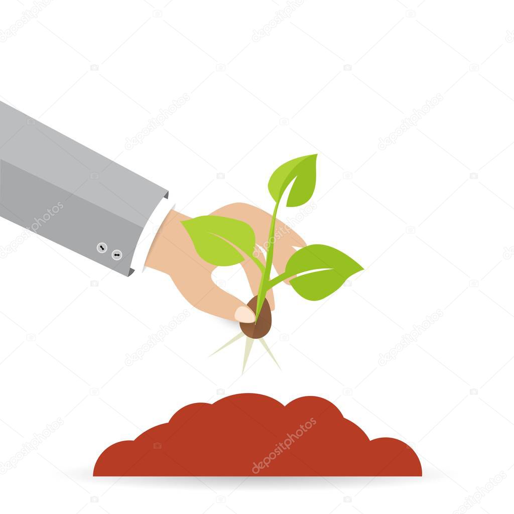 Man hand planting seeds