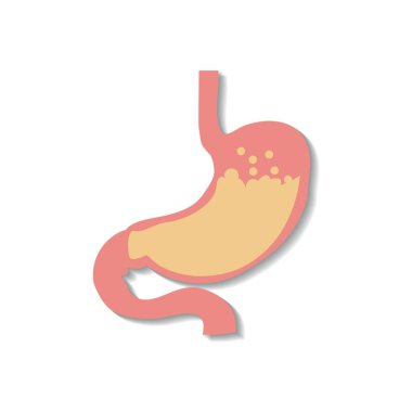 Cartoon stomach illustrations for doctors.