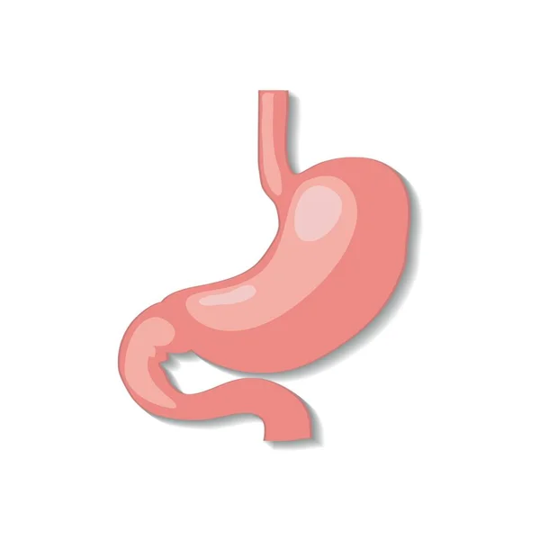 Cartoon stomach illustrations for doctors. — Stockový vektor