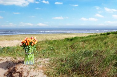 Bunch of Dutch tulips on dune sand clipart