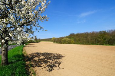 Ismarlayarak sürülmüş alanının