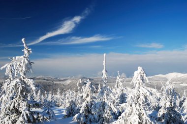Güzel kış günü dağlarda