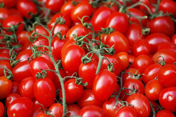 Tomates prunes fraîches sur un marché — Photo