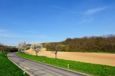 Ismarlayarak boş kırsal yol