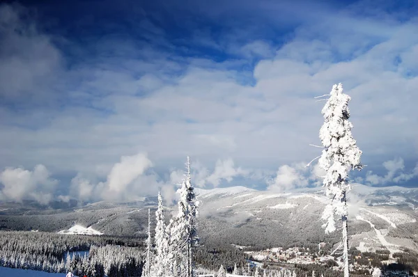 Gran día de invierno en la estación de esquí —  Fotos de Stock