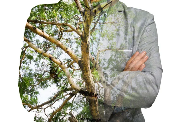 Doble exposición del hombre de negocios con tronco de rama de árbol verde — Foto de Stock