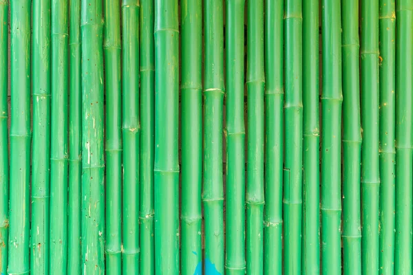 Contexte abstrait du bambou chinois vert — Photo