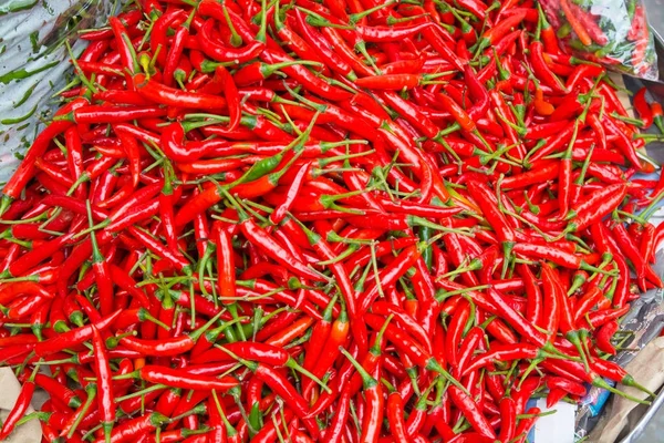 Arka plan Tay kırmızı biber 