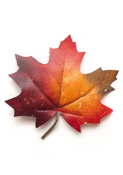 Isolated autumn leaf — Stock Photo, Image