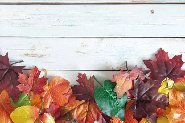 Hojas de otoño fondo —  Fotos de Stock