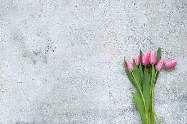 Fondo tulipanes rosados con espacio para texto — Foto de Stock