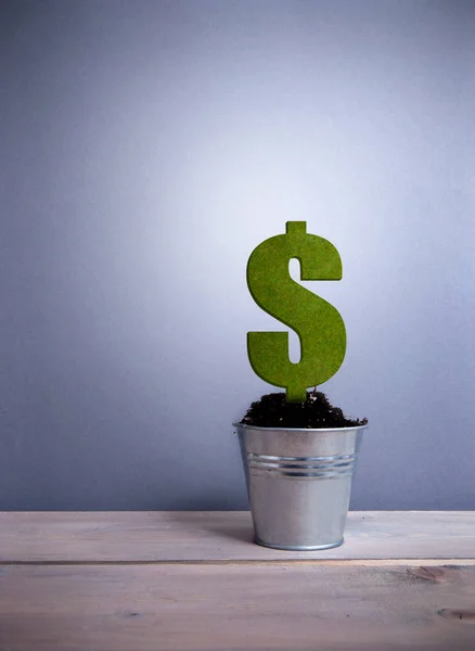 Green dollar sign plant — Stock Photo, Image