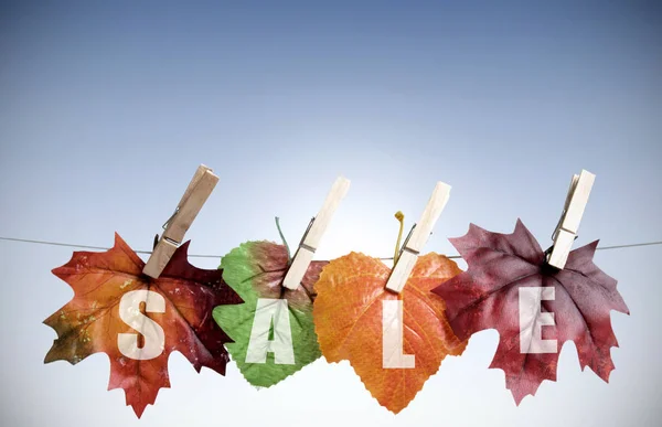 Verkaufshintergrund Herbst — Stockfoto