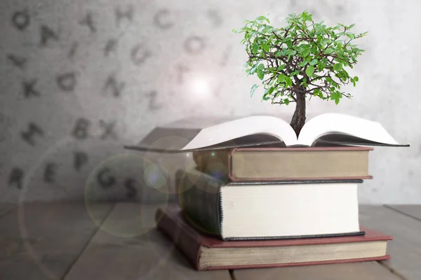 Открытая книга с деревом — стоковое фото