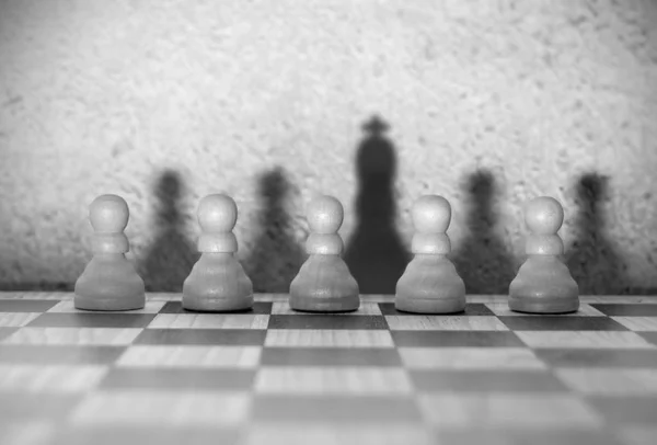 Σκάκι ηγέτης έννοια — Φωτογραφία Αρχείου