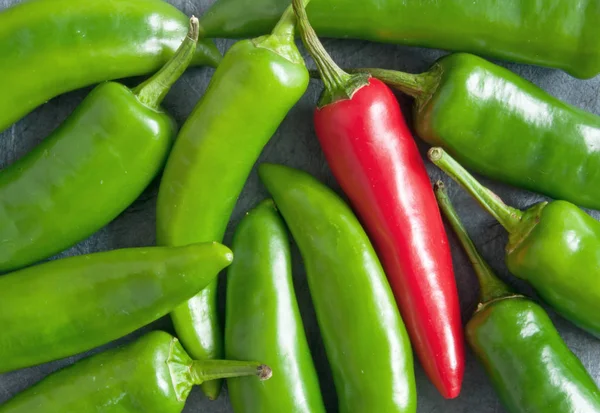 Chilischoten, eine rote unter grünen — Stockfoto