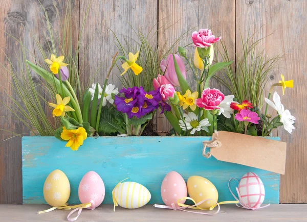 Easter background — Stock Photo, Image