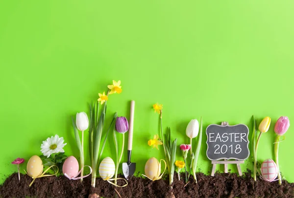 Ostern Blumenbeet Hintergrund — Stockfoto