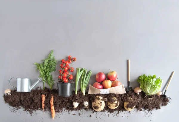 Biologisch fruit en groente tuin achtergrond — Stockfoto