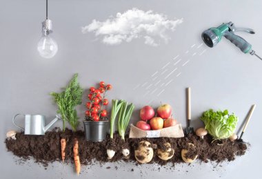 Organik meyve ve vegtable Bahçe kavramı