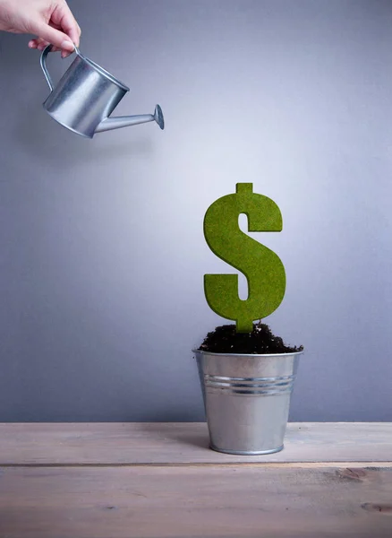 Green dollar sign plant — Stock Photo, Image