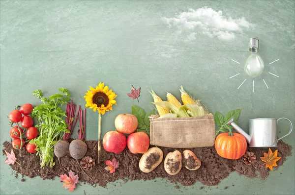 Produits alimentaires biologiques d'automne — Photo