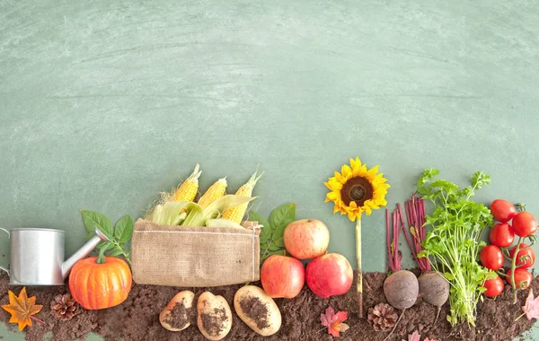Осенние органические продукты питания — стоковое фото